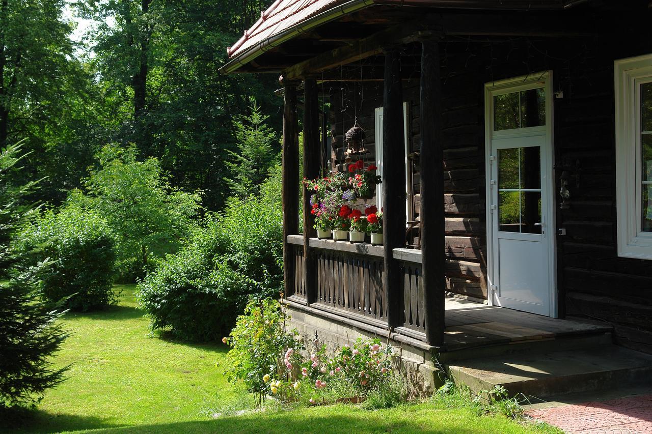 Apartament Szwarcówka Muszyna Zewnętrze zdjęcie
